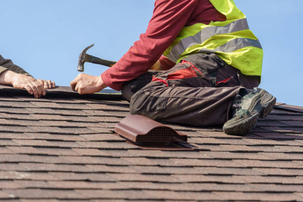Best Flat Roof Repair Services  in Palmer, AK