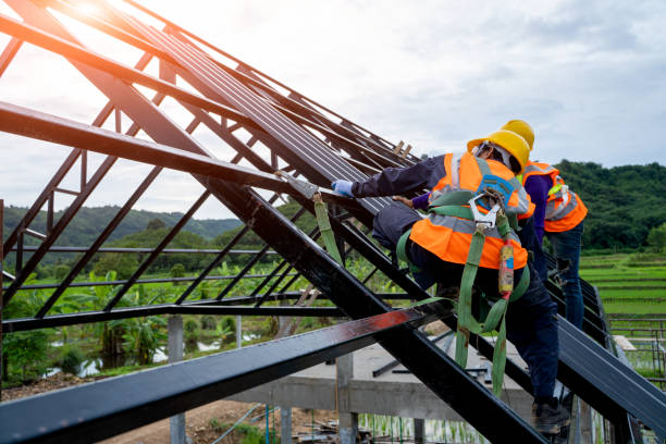 Professional Roofing Contractor in Palmer, AK