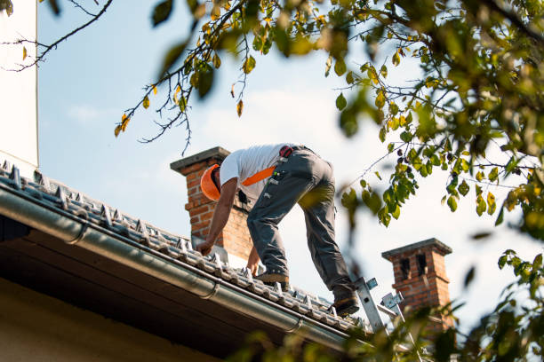 Residential Roof Replacement in Palmer, AK