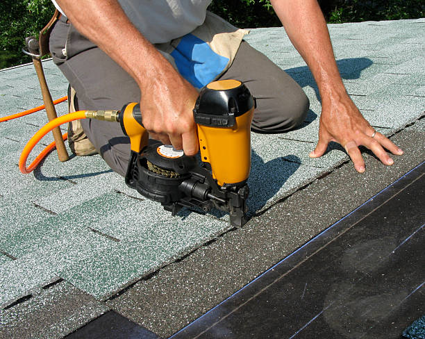 Best Metal Roofing Contractor  in Palmer, AK