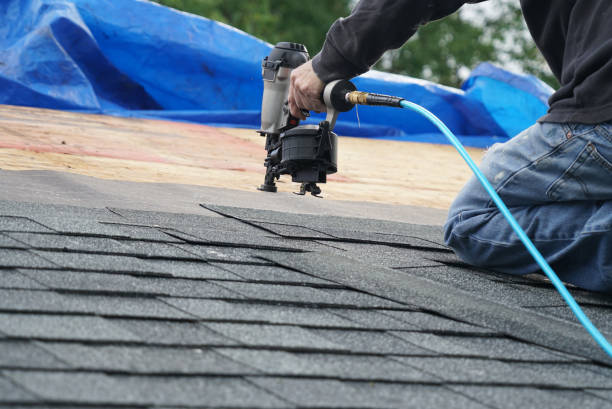 Best Residential Roof Replacement  in Palmer, AK
